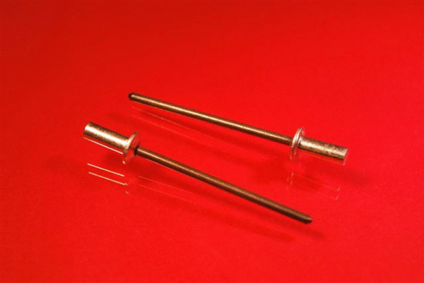 Closed sealed rivets stainless steel incorporating Duplex